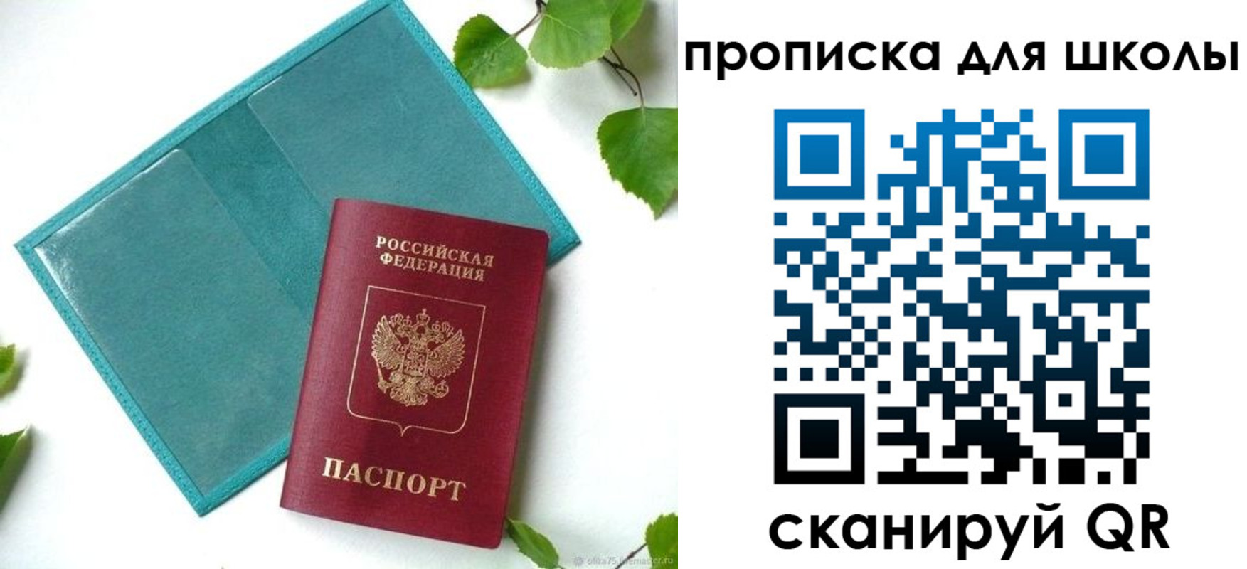прописка в Карабаново